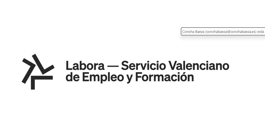 2025 Labora Subvenciones Concedidas